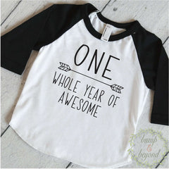 1st Birthday Boy Shirt - One Whole Year of Awesome - Bump and Beyond Designs