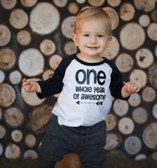 First Birthday Shirt Boy 1st Birthday  Outfit First Birthday Boy Shirt Boy First Birthday Outfit One Whole Year Of Awesome Birthday Boy 157 - Bump and Beyond Designs