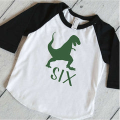 Sixth Birthday Dinosaur Shirt, Boys Birthday T-Rex Shirt, Dinosaur Birthday Shirt, Kids Birthday Shirt, Dino 6th Birthday Shirt 316 - Bump and Beyond Designs