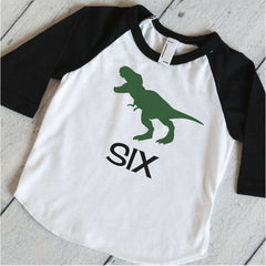 Dinosaur Birthday Party Shirt, Boys Birthday T-Rex Shirt, Dinosaur Birthday Shirt, Kids 6th Birthday Shirt, Dino Sixth Birthday Outfit 317 - Bump and Beyond Designs