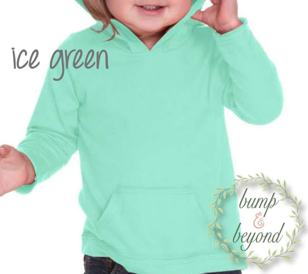 Second Birthday Shirt Girl 2nd Birthday Shirts for Girls Two Year Old Girl Birthday Outfit Hoodie 2nd Birthday Girl Outfit in Green Pink 132 - Bump and Beyond Designs