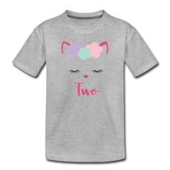 Kitty Cat Girls 2nd Birthday Shirt, Toddler Premium T-Shirt - heather gray